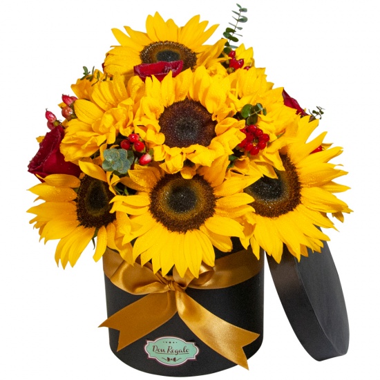 Girasoles para Regalar por Delivery | Don Regalo