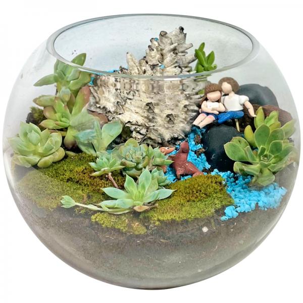 Terrarium de suculentas mixtas parejitas enamoradas